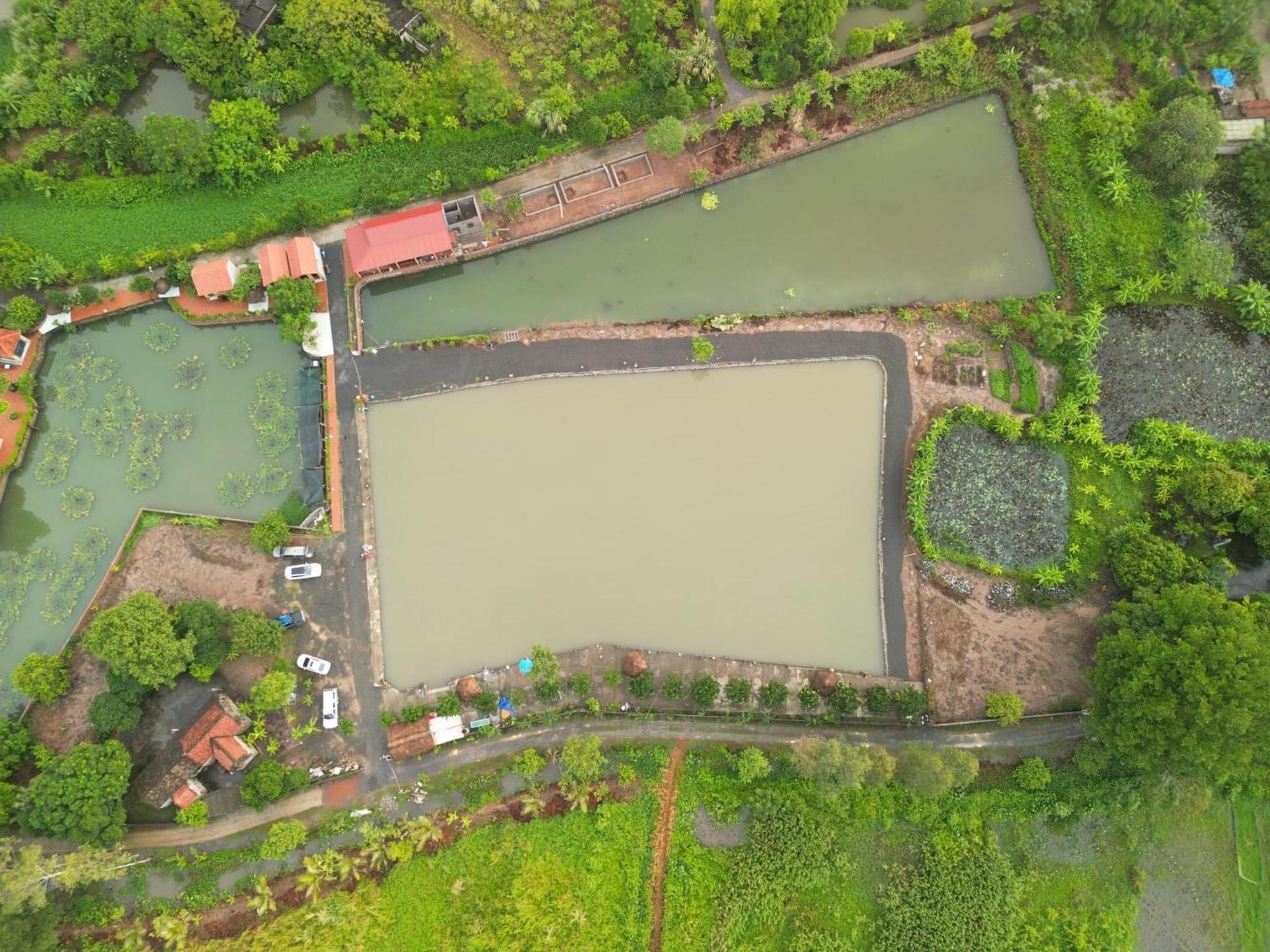 Tam Coc Cat Luong Homestay Ninh Binh Eksteriør bilde
